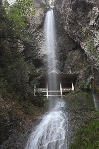 鰐淵寺境内