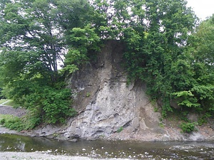 古秩父湾堆積層及び海棲哺乳類化石群 こちちぶわんたいせきそうおよびかいせいほにゅうるいかせきぐん