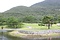 伊平屋島の念頭平松
