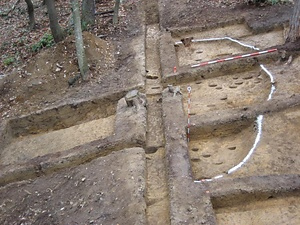 山元遺跡 やまもといせき