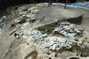 鳴門板野古墳群 なるといたのこふんぐん