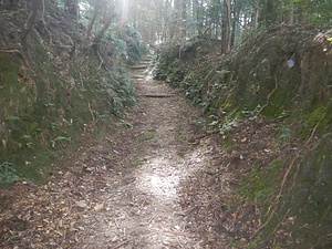 土佐遍路道<BR/>  最御崎寺道<BR/>　金剛頂寺道<BR/>　金剛頂寺境内<BR/>　神峯寺道<BR/>　竹林寺道<BR/>　禅師峰寺道<BR/>　清瀧寺境内<BR/>　青龍寺道<BR/>　金剛福寺道<BR/>　観自在寺道