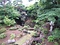 新藤氏庭園