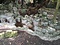 旧仲宗根氏庭園