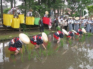 会津の御田植祭