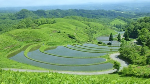 阿蘇の文化的景観<BR/>産山村の農村景観<BR/>