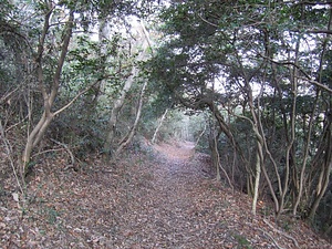 讃岐遍路道<br />
　大興寺道<br />
　曼荼羅寺道<br />
　曼荼羅寺境内<br />
　出釋迦寺境内<br />
　甲山寺境内<br />
　善通寺境内<br />
　根香寺道<br />
　根香寺境内<br />
　志度寺境内<br />
　大窪寺道<br />
　大窪寺境内