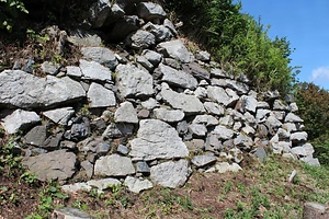 水口岡山城跡