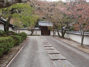 摩尼院 築地塀 まにいん ついじべい