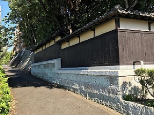 川原田家住宅表門及び塀 かわらだけじゅうたくおもてもんおよびへい