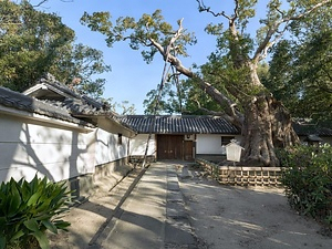 筒井家住宅門長屋