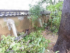 東多田夢勝庵西塀 ひがしただむしょうあんにしへい