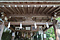 太郎坊宮阿賀神社手水舎