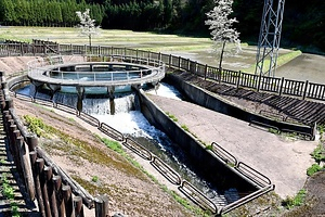 釈泉寺円筒分水槽