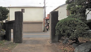 旧広田医院門柱及び塀 きゅうひろたいいんもんちゅうおよびへい