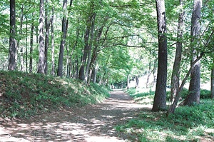 鎌倉街道上道