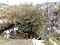 旧松野家住宅(野口家住宅)取水池