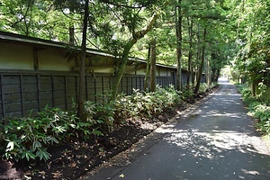 中原家住宅裏門及び塀