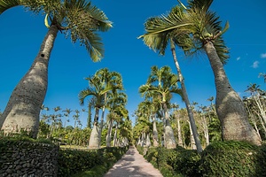東南植物楽園