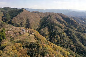 羽衣石城跡<br />
　附   十万寺城跡<br />
　　　　番城城跡