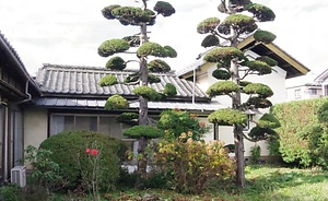 小山家住宅土蔵及び離れ