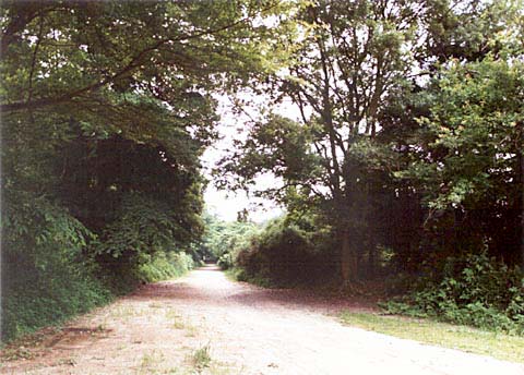 A-27 View from the nominated property