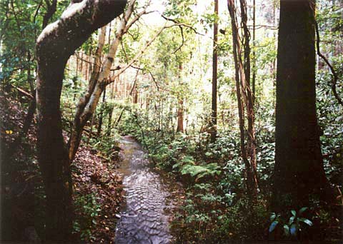 A-28 View from the nominated property