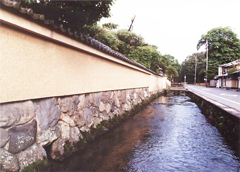 A-31 South area adjacent