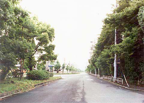 B-25 West area adjacent to the nominated property