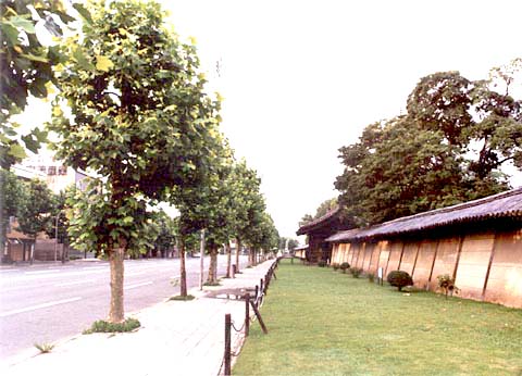 C-29 East area adjacent