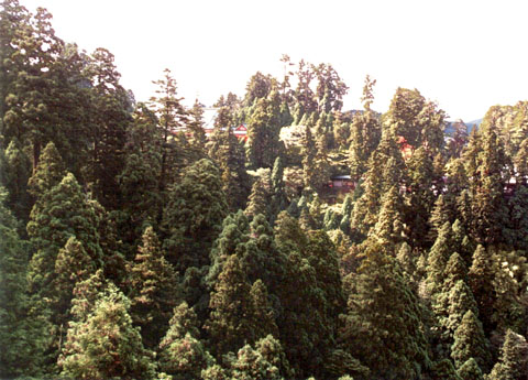 E-4 View of the nominated property