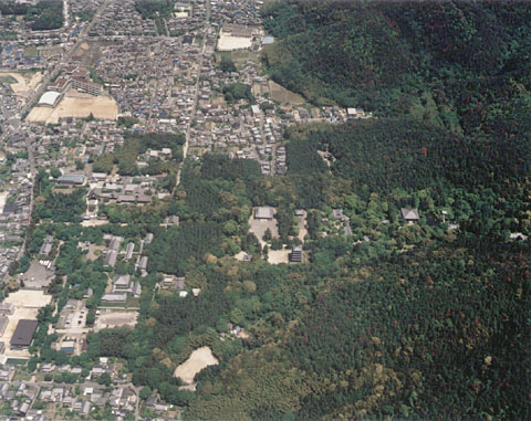 F-4 Aerial view of Daigo-ji