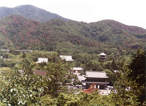 G-4 View of the nominated property