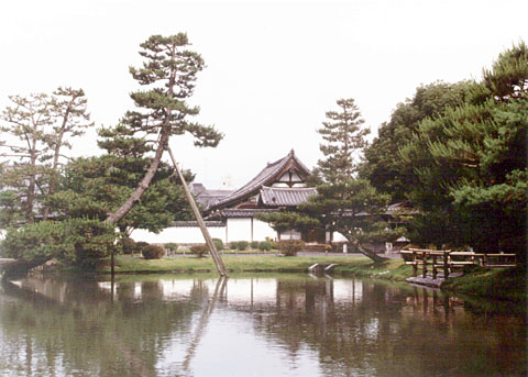H-11 View from the nominated property