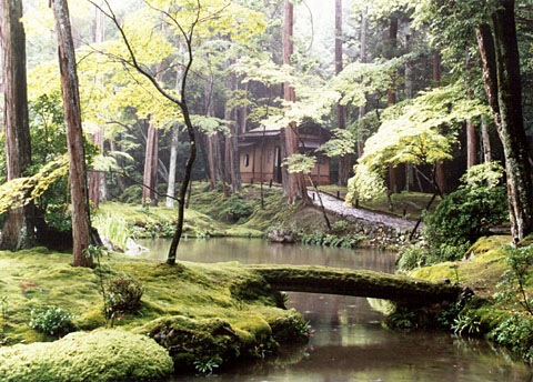 K-6 Saiho-ji Teien <garden>