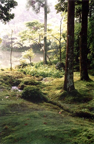 K-9 Saiho-ji Teien <garden>