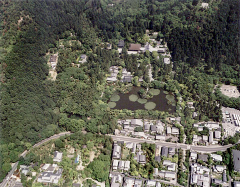 O-2 Aerial view of Ryoan-ji