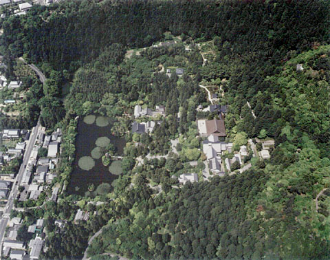 O-3 Aerial view of Ryoan-ji