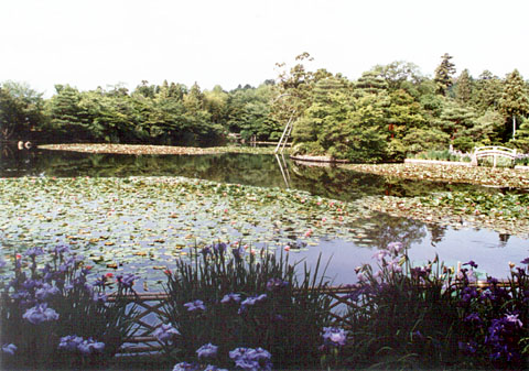 O-7 Ryoan-ji Teien <garden>