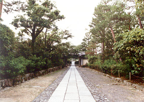 O-8 View from the nominated property
