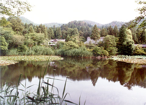 O-9 View from the nominated property