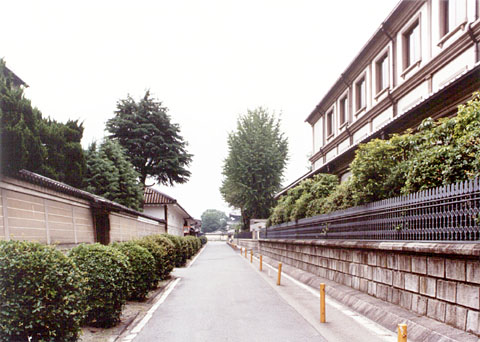 P-26 Adjacent to the nominated property