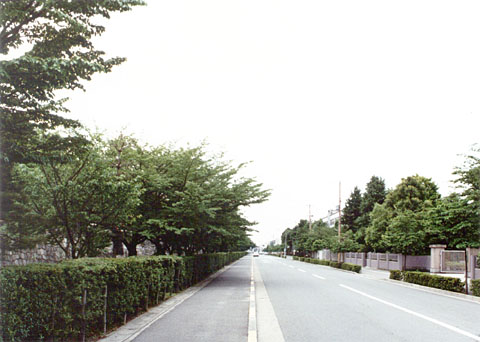 Q-38 Adjacent to the nominated property