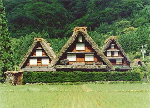 2-10. Ogimachi Village: village view