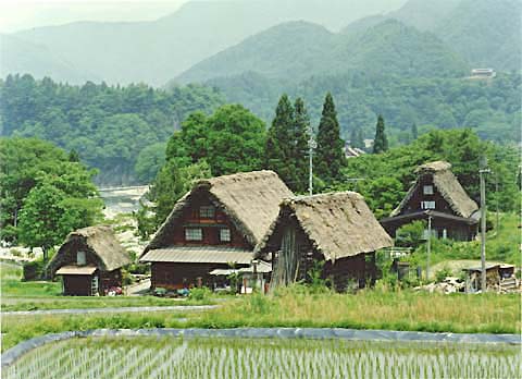 2-11. Ogimachi Village: village view
