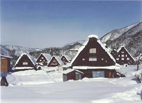 2-12. Ogimachi Village: village view