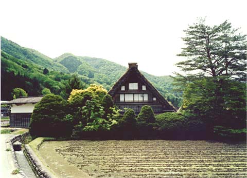 2-14. Ogimachi Village: Wada House, side view (gable end)