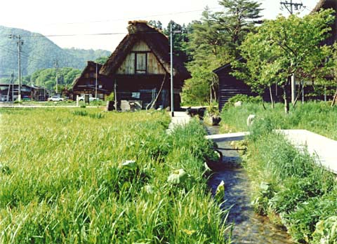 2-35. Ogimachi Village: Canal