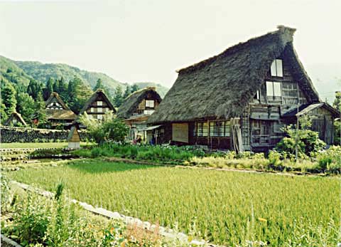 2-8. Ogimachi Village: village view