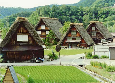 2-9. Ogimachi Village: village view